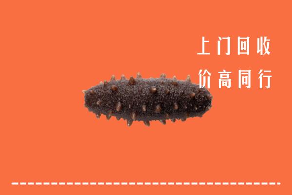 高价求购：内江市资中县回收海参