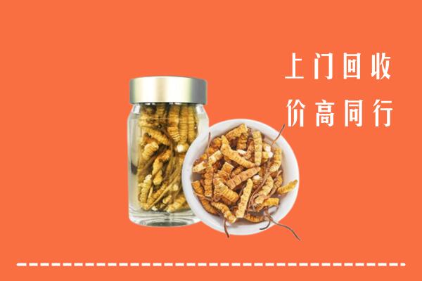 内江市资中县回收冬虫夏草