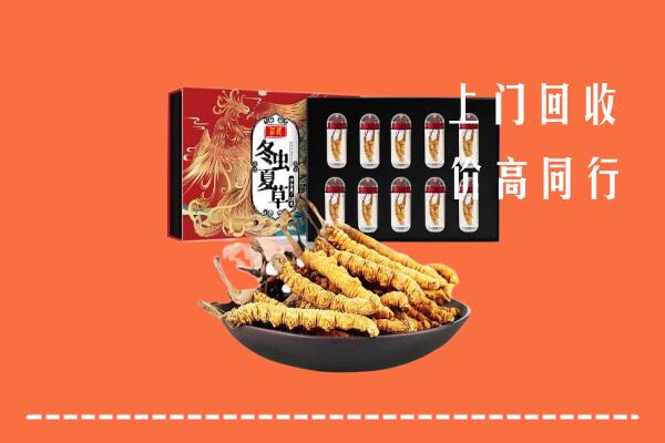 内江市资中县回收虫草